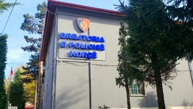 I riu niset drejt Gjermanisë dhe humb kontaktet me familjen, e motra