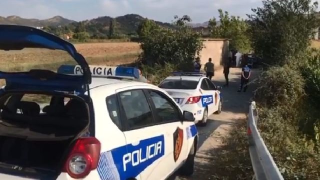 Plagosja me thikë e 15-vjeçarit në Maliq, nëna e autorit