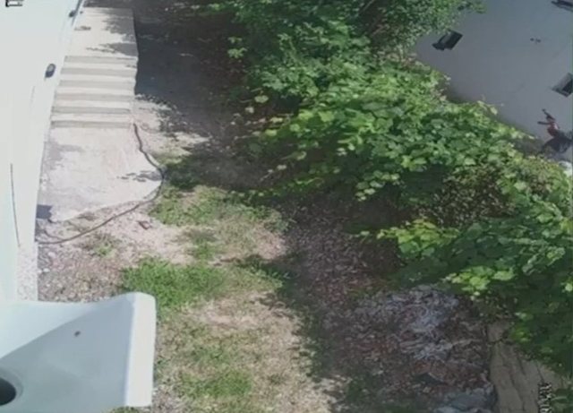 “Kërcet” kallashnikovi në Paskuqan! I vëllai i dhunoi