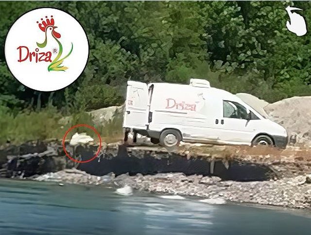 Furgoni i "Driza" hedh pulat e ngordhura në lumë, rrjeti