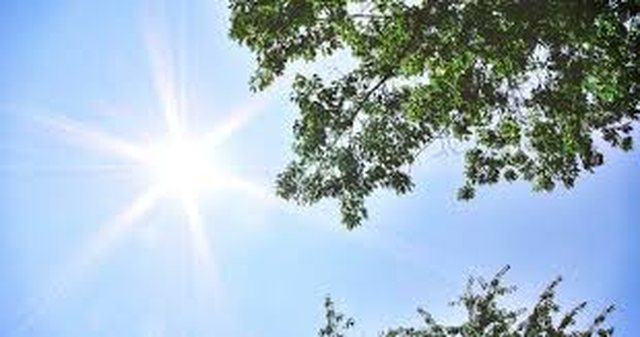 Ditë me diell e temperatura të larta, parashikimi i motit për