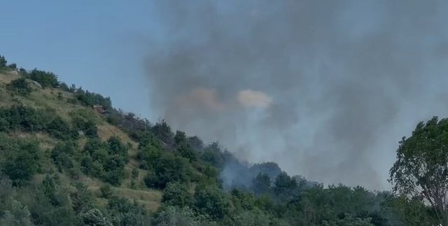 Zjarret rrezikojnë repartin ushtarak në Maliq
