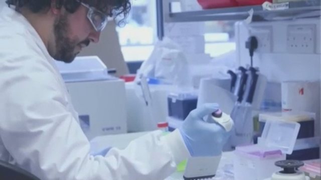 Covid rikthehet në verë: Varianti i ri në qarkullim, njihuni me