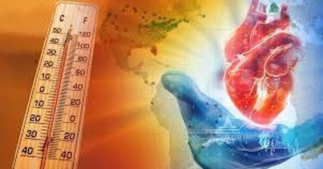 Si të mbroni zemrën tuaj në plazh dhe gjatë temperaturave