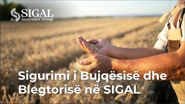 Sigurimi bujqësor përballë sfidave klimatike. SIGAL mbrojtje