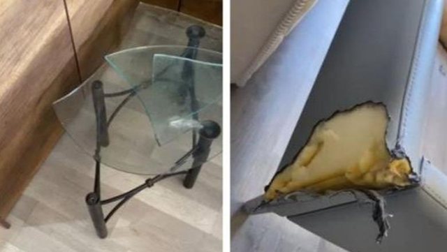 Morën apartamentin me qira për tre javë në Tiranë dhe u