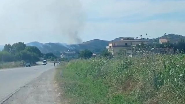 Zjarr masiv në Elbasan, digjen sipërfaqet me ullinj, ndërhyrje