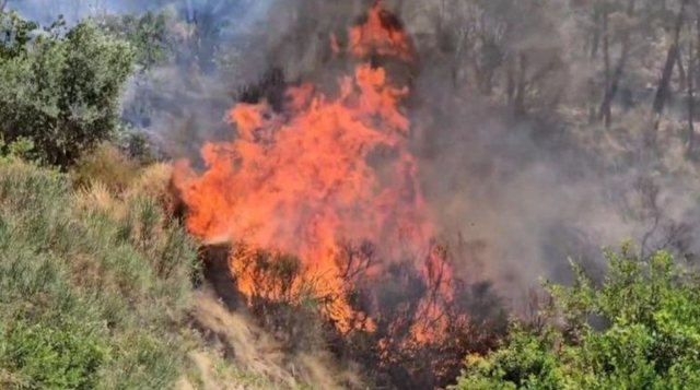 Elbasan, qytetarja padit Bashkinë dhe kompaninë