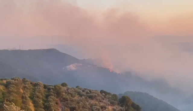 Zjarr në Drenovë të Mallakastrës, flakët
