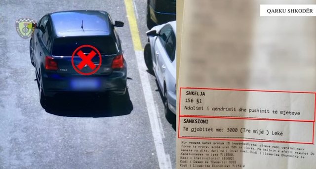 Shkodër/ Policia Rrugore në aksion, 2227 masa për shkelje të