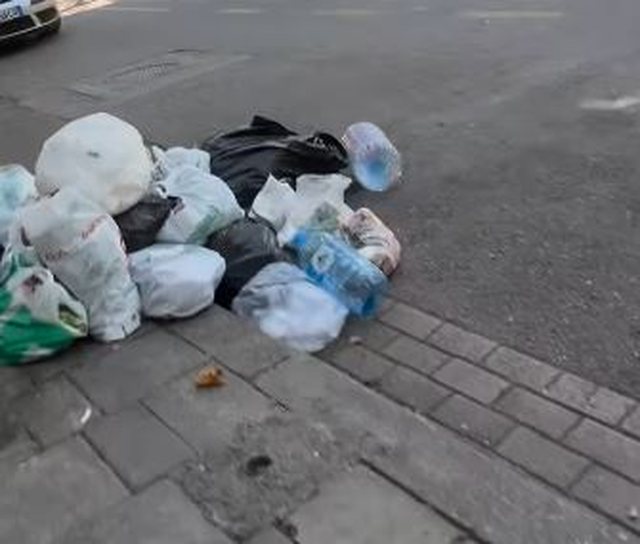 Mbeturinat mes rrugës, Erion Braçe: Pamje që dëmton. Si u