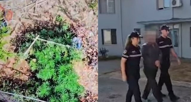 Lazarat/ Sekuestrohen 1.4 kg kanabis, arrestohet një person