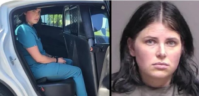 U fut në punë me diplomë të falsifikuar, arrestohet