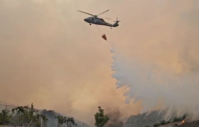 I vuri flakën fshatit nga inati me komshiun dhe humbi jetën, zbardhet