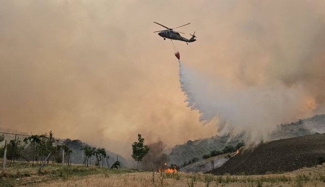 I vuri flakën fshatit nga inati me komshiun dhe humbi jetën, zbardhet