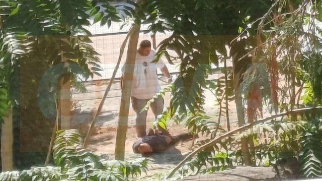 Qëndroi i fshehur për 30 orë pranë shtëpisë, si u