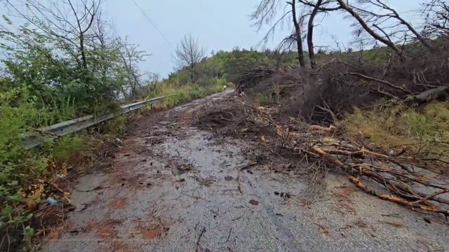 Stuhia rrëzon pemët ne Fier-Cakran, bllokohet qarkullimi i automjeteve