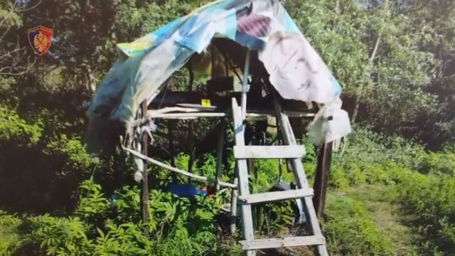 Operacioni anti-drogë në Peqin/ Sekuestrohen armë,