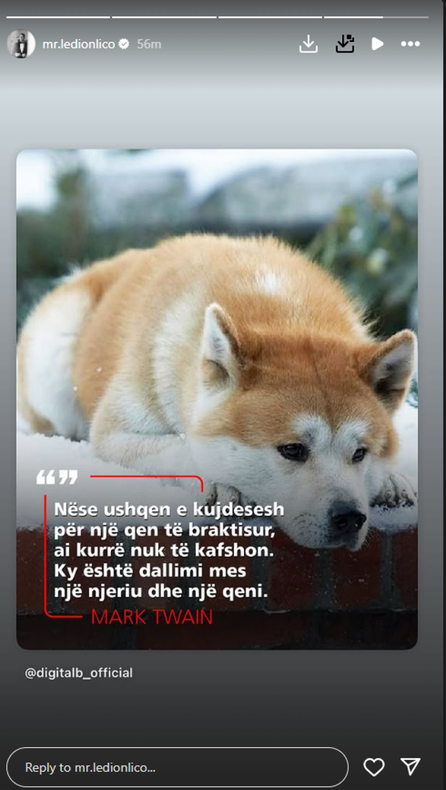 Të ka lënë gruaja, ku do i gjesh lekët?" Ledion