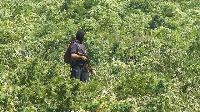 Mbyllet dosja për bandën e hashashit, Apeli i GJKKO merr vendim
