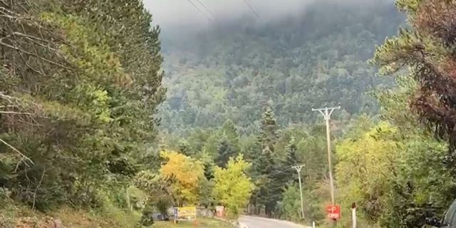 Pas eksplorimit të zonës, nënë e bir nga Suedia humbasin