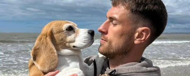 Mungoi në stërvitje se po kërkonte qenin e zhdukur, ekipi