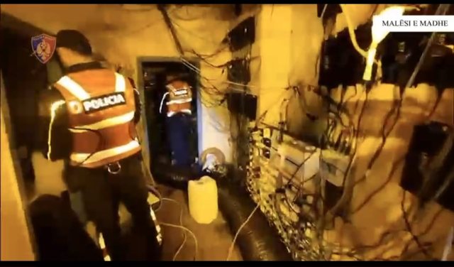 Zbulohen 3 ambiente ku kultivohej kanabis në Malësi të Madhe,