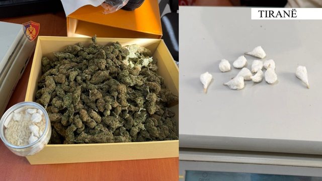 Kapet me kanabis dhe kokainë në banesë, pranga 25-vjeçarit