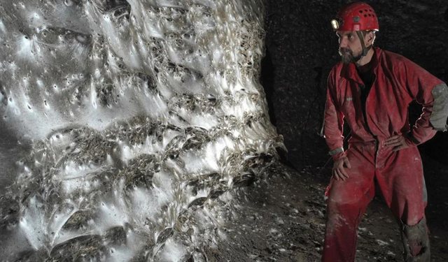 E Pazakontë! Zbulohet rrjeta e merimangës më e madhe në