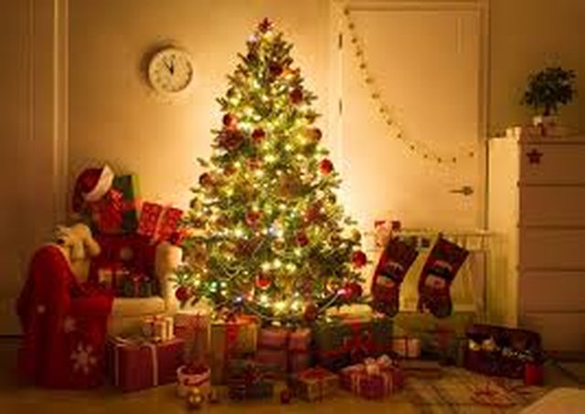 Pesë gabime me pemën e Krishtlindjeve që duhet t'i shmangni