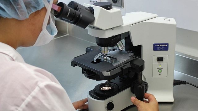 ALARM! Rikthehet VIRUSI i rrezikshëm, u zbulua në ujërat e