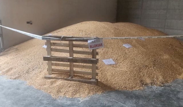 AKU bllokon edhe 75 tonë misër nga Serbia, në total ndalohen 100