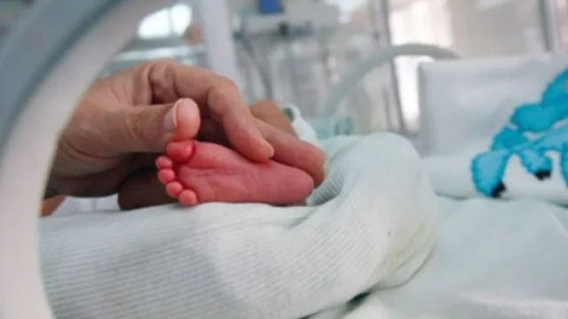 Vijon SKANDALI/ 18 fëmijë nga sperma e dhuruesit danez, njëri