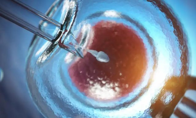 Investigimi/ Si u shpërnda në mbarë Europën gjeni i kancerit