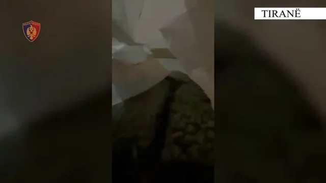 VIDEO/ Arrestohet 23-vje&ccedil;ari n&euml; Tiran&euml;! Si porositi kanabis me