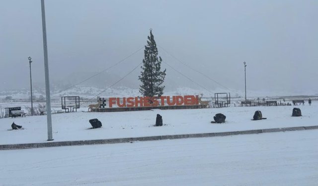 D&euml;bor&euml; mbi 10 cm n&euml; Steblev&euml;, apel p&euml;r kujdes n&euml;