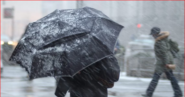 DERI T&Euml; H&Euml;N&Euml;N/ Instituti i Gjeoshkencave b&euml;n t&euml; ditur