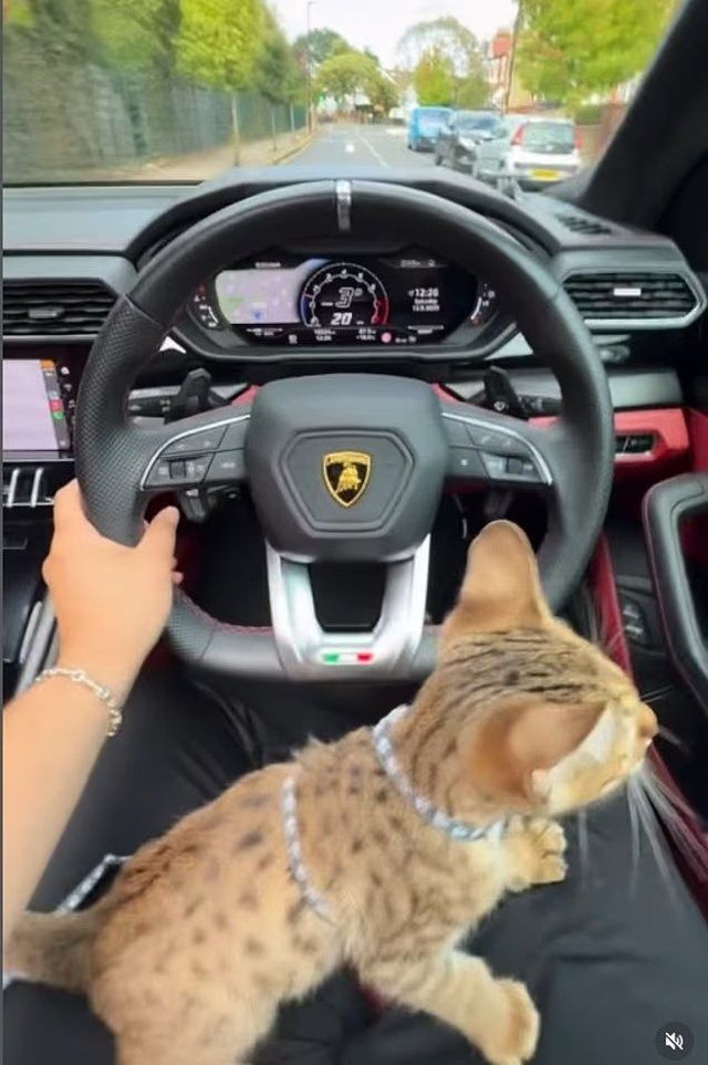 I dëbuar dy herë nga Britania, 31-vjeçari shqiptar sfidon