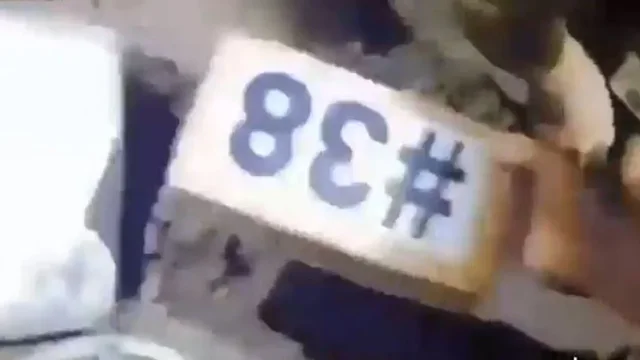 Kokain&euml; e groposur me fu&ccedil;i n&euml; kopsht, d&euml;shton