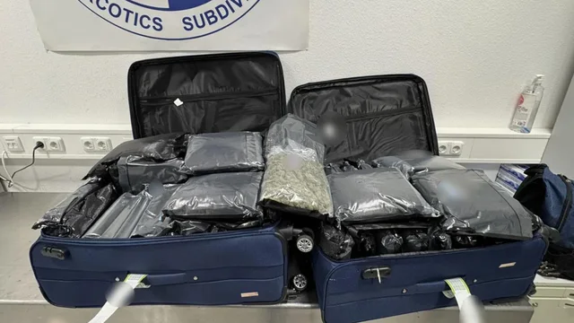 U kap&euml;n me 72 kilogram&euml; kanabis n&euml; aeroport, arrestohen 3 gra