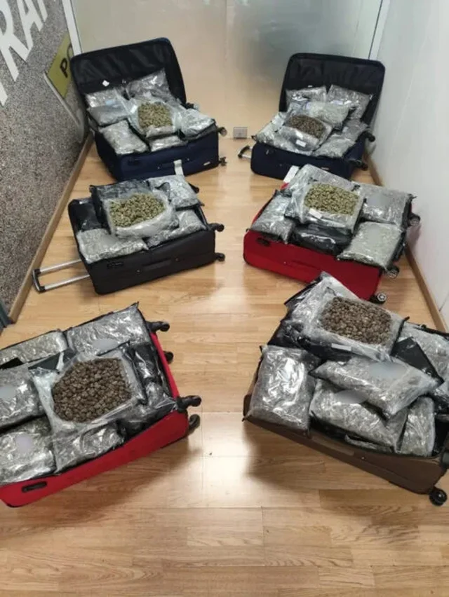 U kap&euml;n me 72 kilogram&euml; kanabis n&euml; aeroport, arrestohen 3 gra