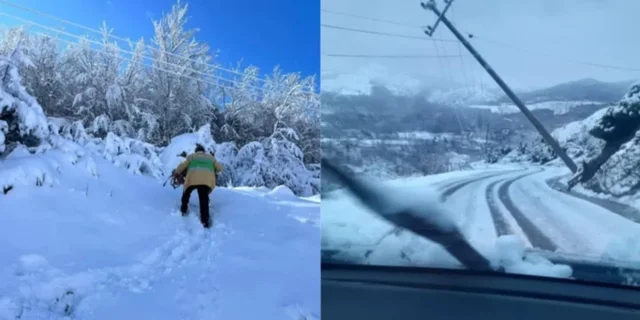 D&euml;met nga d&euml;bora dhe era, thyhen dhjet&euml;ra shtylla t&euml;