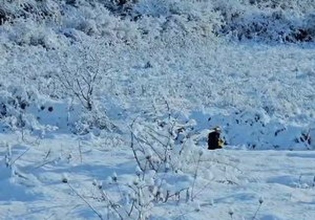 Shqip&euml;ria mes p&euml;rmbytjes dhe d&euml;bores / Problematika t&euml;