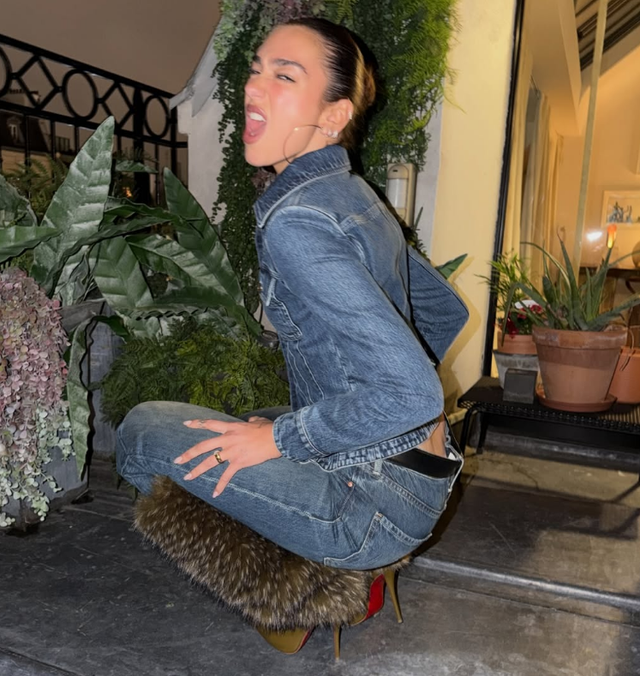 FOTO/ Dua Lipa ndan momente të veçanta nga udhëtimi në