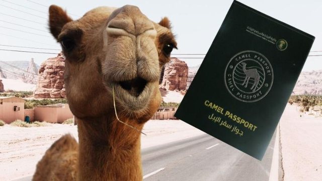 Arabia Saudite l&euml;shon pasaporta p&euml;r devet&euml;, ja cila