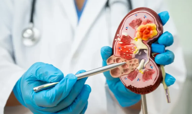 Shkenc&euml;tar&euml;t krijojn&euml; veshk&euml; &lsquo;universale&rsquo;