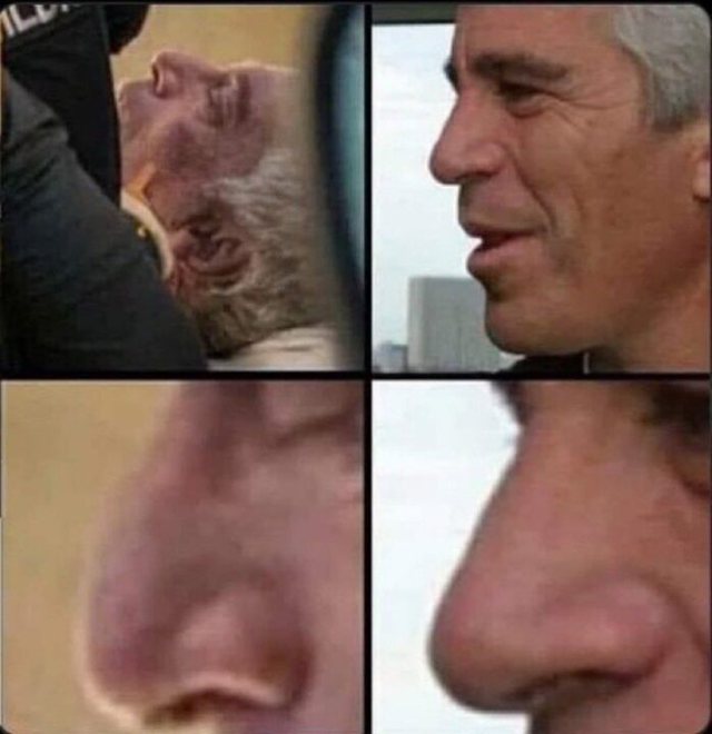 &ldquo;&Euml;sht&euml; gjall&euml;&rdquo;/ Shp&euml;rthejn&euml; teorit&euml;