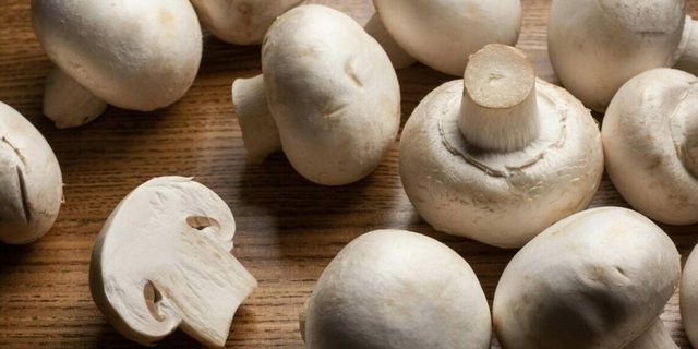 Tragjike/ Konsumuan &ldquo;kapel&euml;n e vdekjes&rdquo;, 4 persona humbin