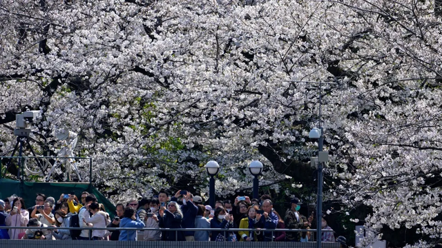 "Nj&euml; fenomen i pazakont&euml; ka b&euml;r&euml; q&euml; k&euml;t&euml;