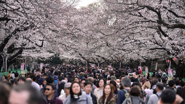 "Nj&euml; fenomen i pazakont&euml; ka b&euml;r&euml; q&euml; k&euml;t&euml;